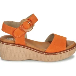 Dorking - NIDO Orange Hot