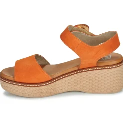 Dorking - NIDO Orange Hot