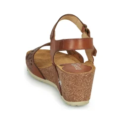 Dorking - PALMA Marron Best