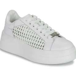 Dorking - SWIFT Blanc Sale