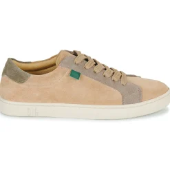 Best Dream in Green - ACANTHE Beige