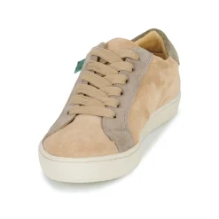 Best Dream in Green - ACANTHE Beige