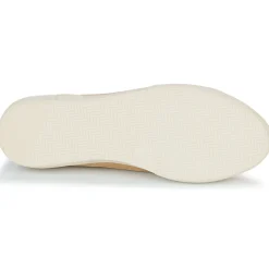 Best Dream in Green - ACANTHE Beige