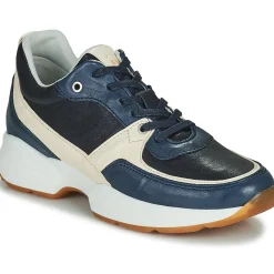 Dream in Green - AGAPANTHE Multico-bleu Clearance