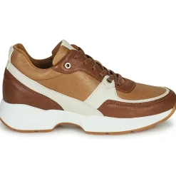 Dream in Green - AGAPANTHE Multico-beige Sale