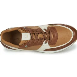 Dream in Green - AGAPANTHE Multico-beige Sale