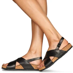 Outlet Dream in Green - AGASTACHE Noir