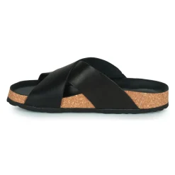 Dream in Green - AGAVE Noir Discount