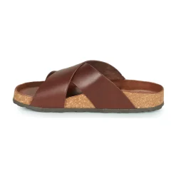 Dream in Green - AGAVE Marron Sale