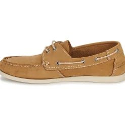 Dream in Green - ANTERO