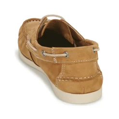 Dream in Green - ANTERO