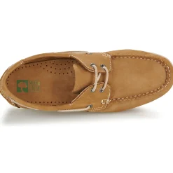 Dream in Green - ANTERO