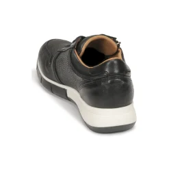 Dream in Green - ARTEMISIA