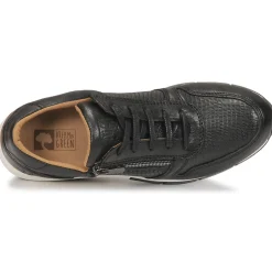 Dream in Green - ARTEMISIA