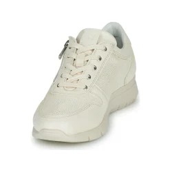 Dream in Green - ARTEMISIA Beige Clearance