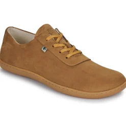 Dream in Green - BARIO