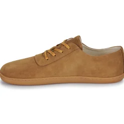 Dream in Green - BARIO