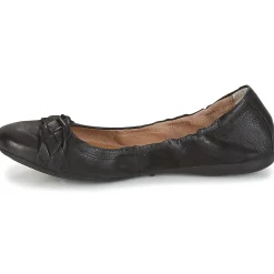 Dream in Green - CICALO Noir Best