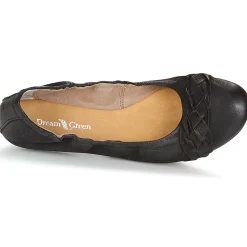 Dream in Green - CICALO Noir Best