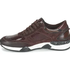 Dream in Green - FARRICA Bordeaux Outlet