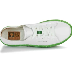 Dream in Green - JOBI blanc