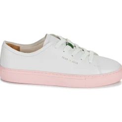 Dream in Green - JOBI