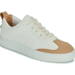 Dream in Green - JOBIA