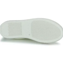 Dream in Green - JOBIA