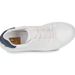 Dream in Green - JOBIO Hot