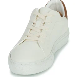 Dream in Green - JOBIO