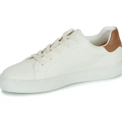 Dream in Green - JOBIO