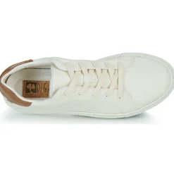 Dream in Green - JOBIO