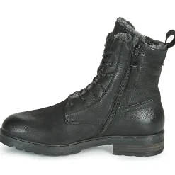 Dream in Green - LACIE