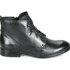 Hot Dream in Green - LAMPEDI Noir