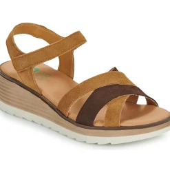 Online Dream in Green - LISA marine