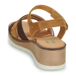 Online Dream in Green - LISA marine