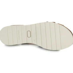 Online Dream in Green - LISA marine