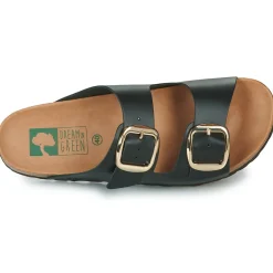 Dream in Green - MILETTE