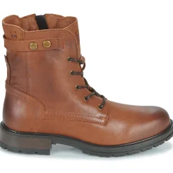 Dream in Green - NELATINE Cognac