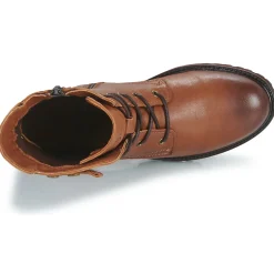 Dream in Green - NELATINE Cognac