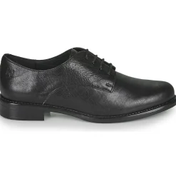 Dream in Green - NOUSSIN