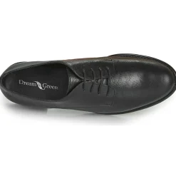 Dream in Green - NOUSSIN