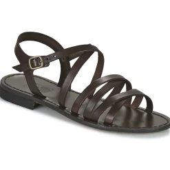 Dream in Green - OBALINE Marron Best