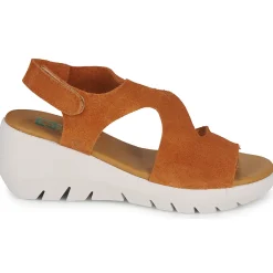 Dream in Green - OLENE