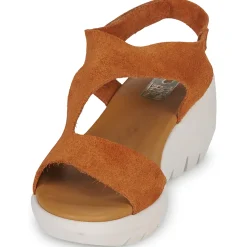 Dream in Green - OLENE