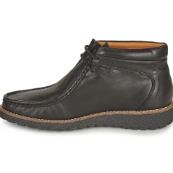 Clearance Dream in Green - OPHINA Noir