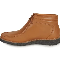 Dream in Green - OPHINA Marron