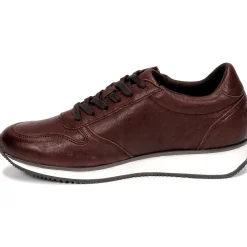 Dream in Green - PORTOVECCHIO