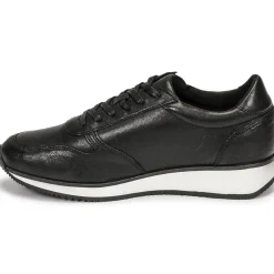 Dream in Green - PORTOVECCHIO Noir