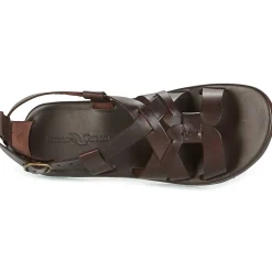 Dream in Green - QUESELLE